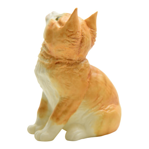 Royal Worcester Ginger Kitten 1978