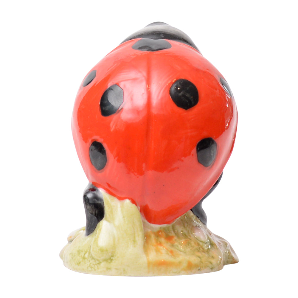 Mother Ladybird
