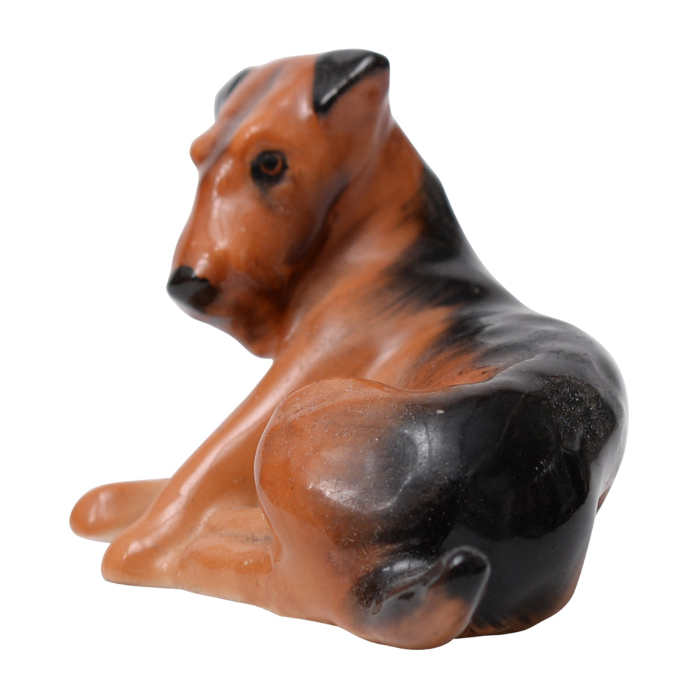 Airedale Terrier K5
