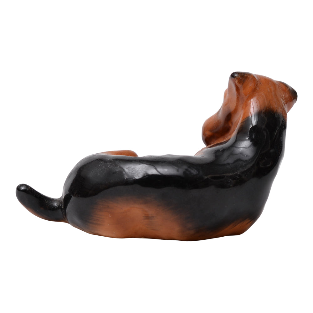 Airedale Terrier K5