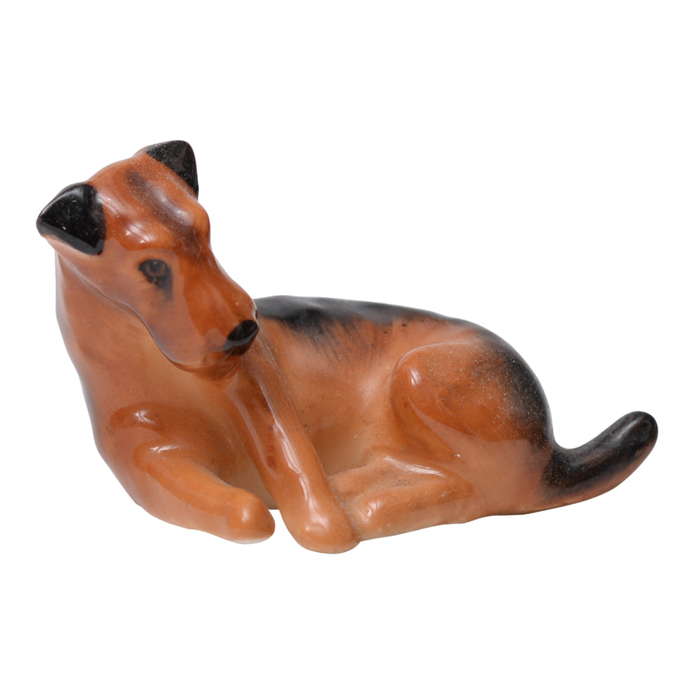 Airedale Terrier K5