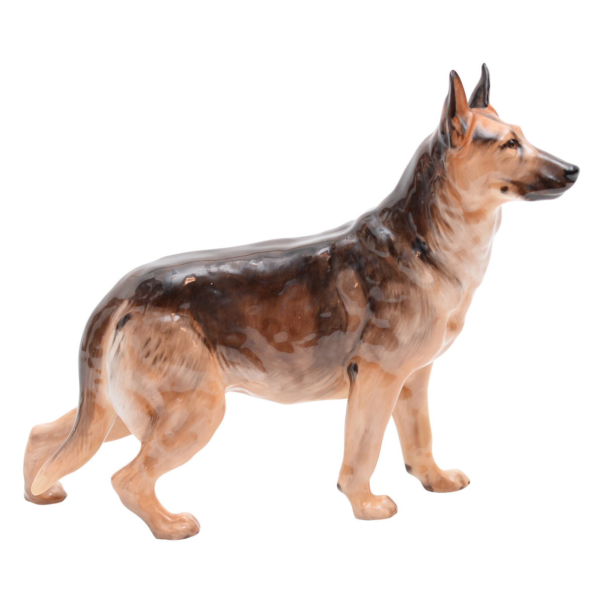 Alsatian Medium HN1116