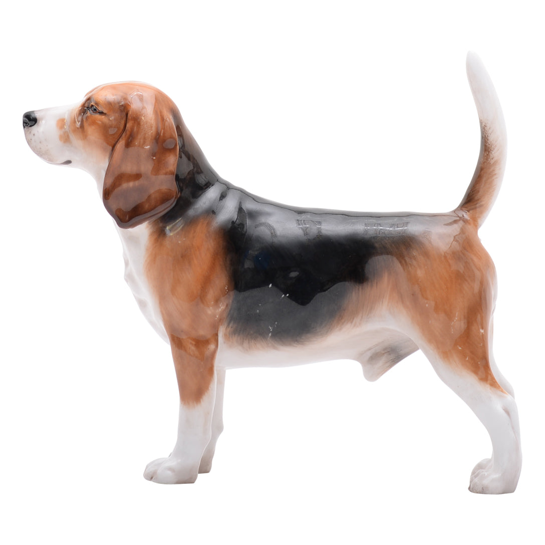 Beagle prototype