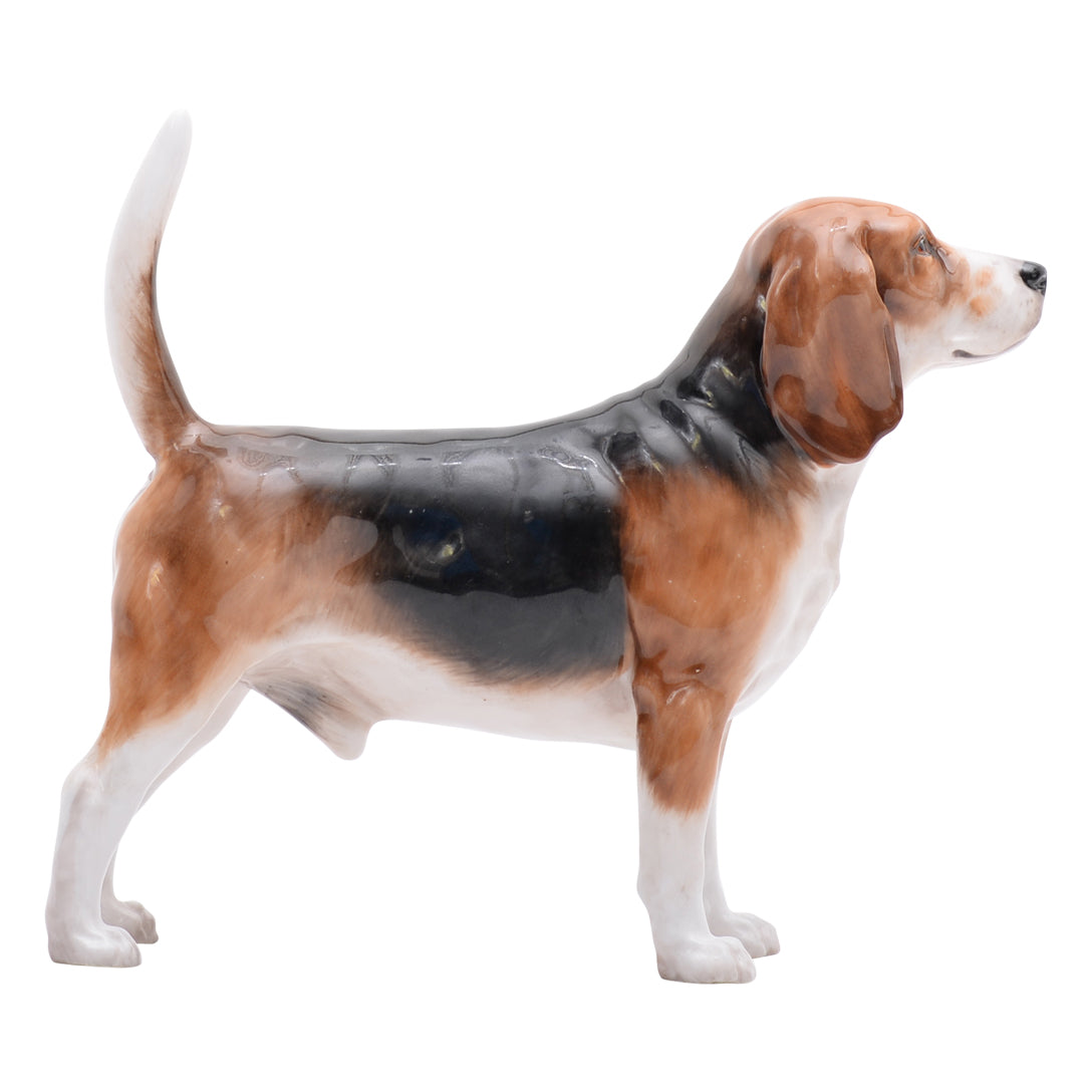 Beagle prototype