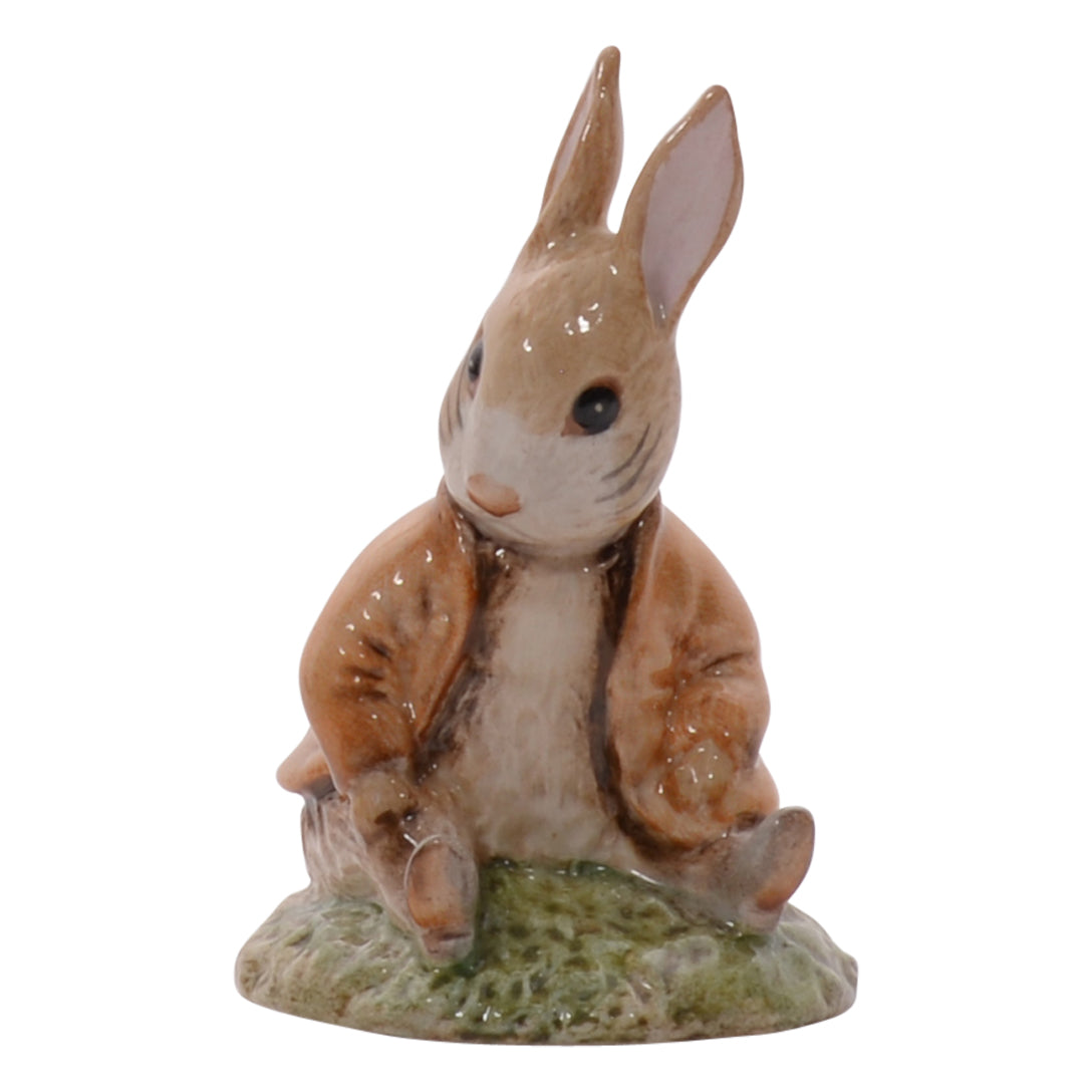 Benjamin Bunny Sat on a Bank