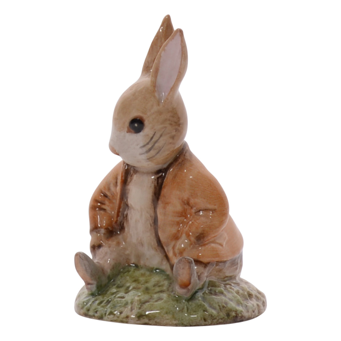 Benjamin Bunny Sat on a Bank