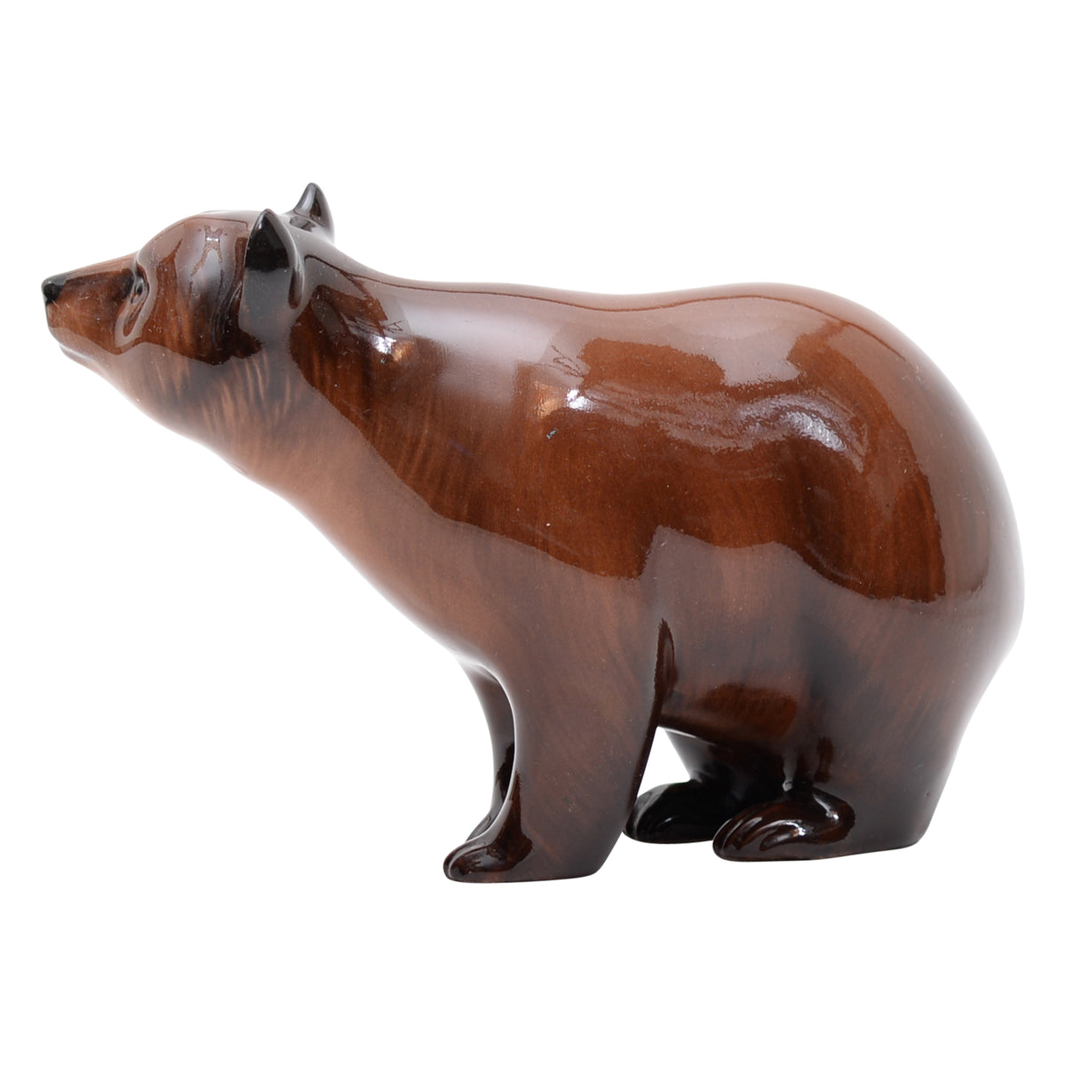 Brown Bear
