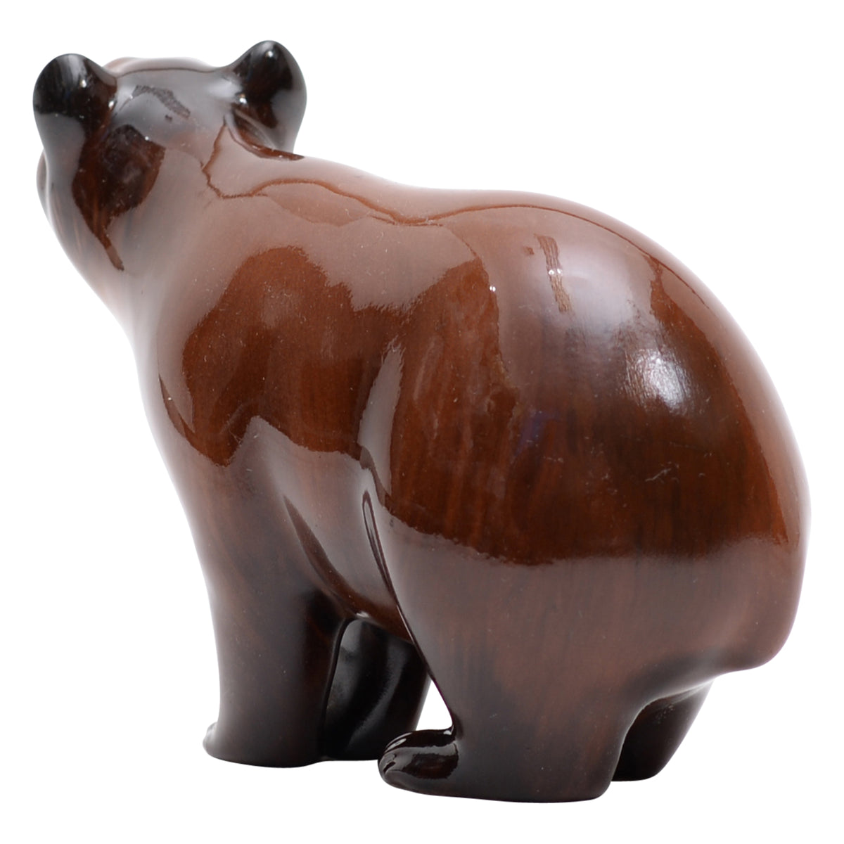 Brown Bear