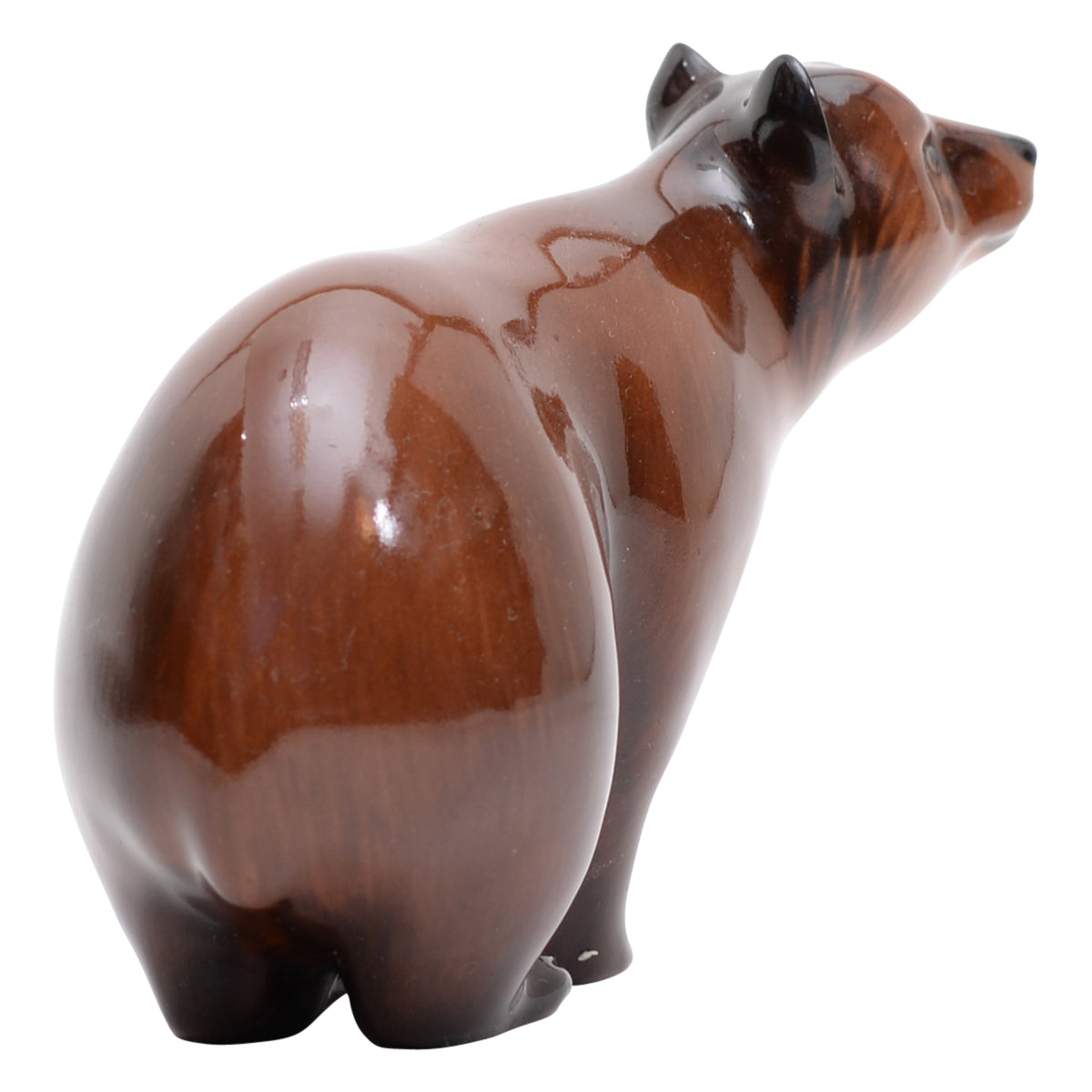 Brown Bear