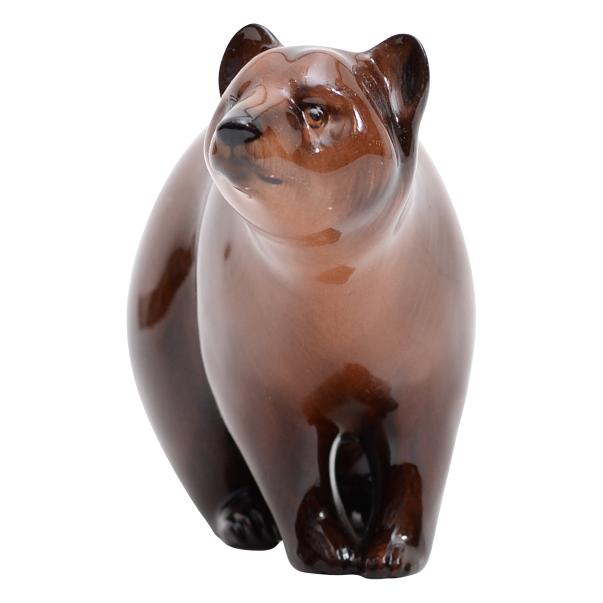 Brown Bear