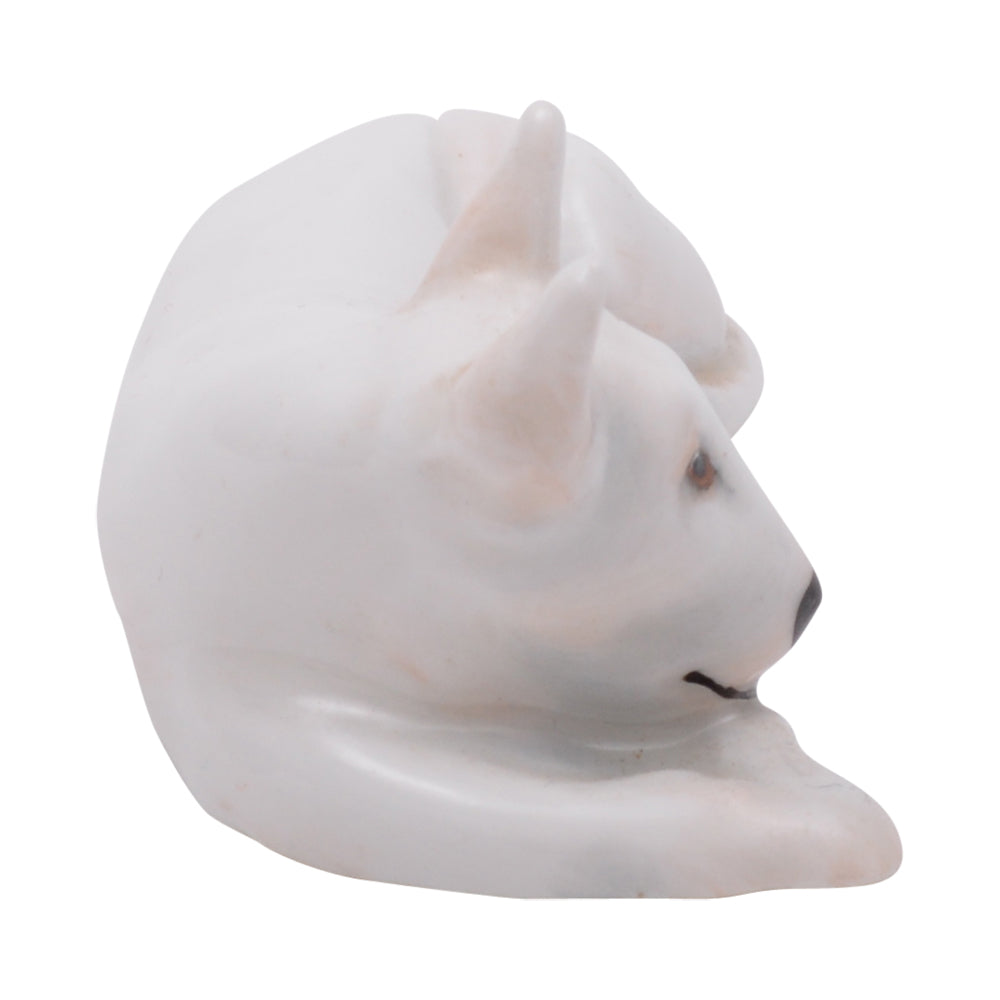 Bull Terrier Lying Down K14