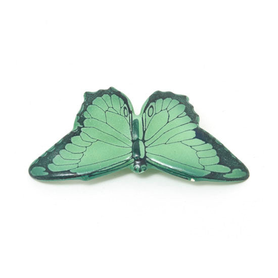 Butterfly Color Variation