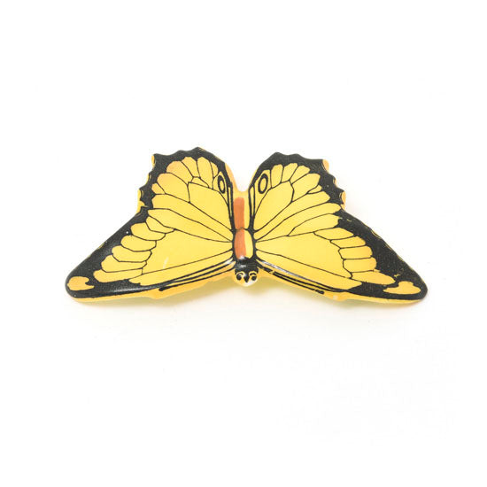 Butterfly Color Variation