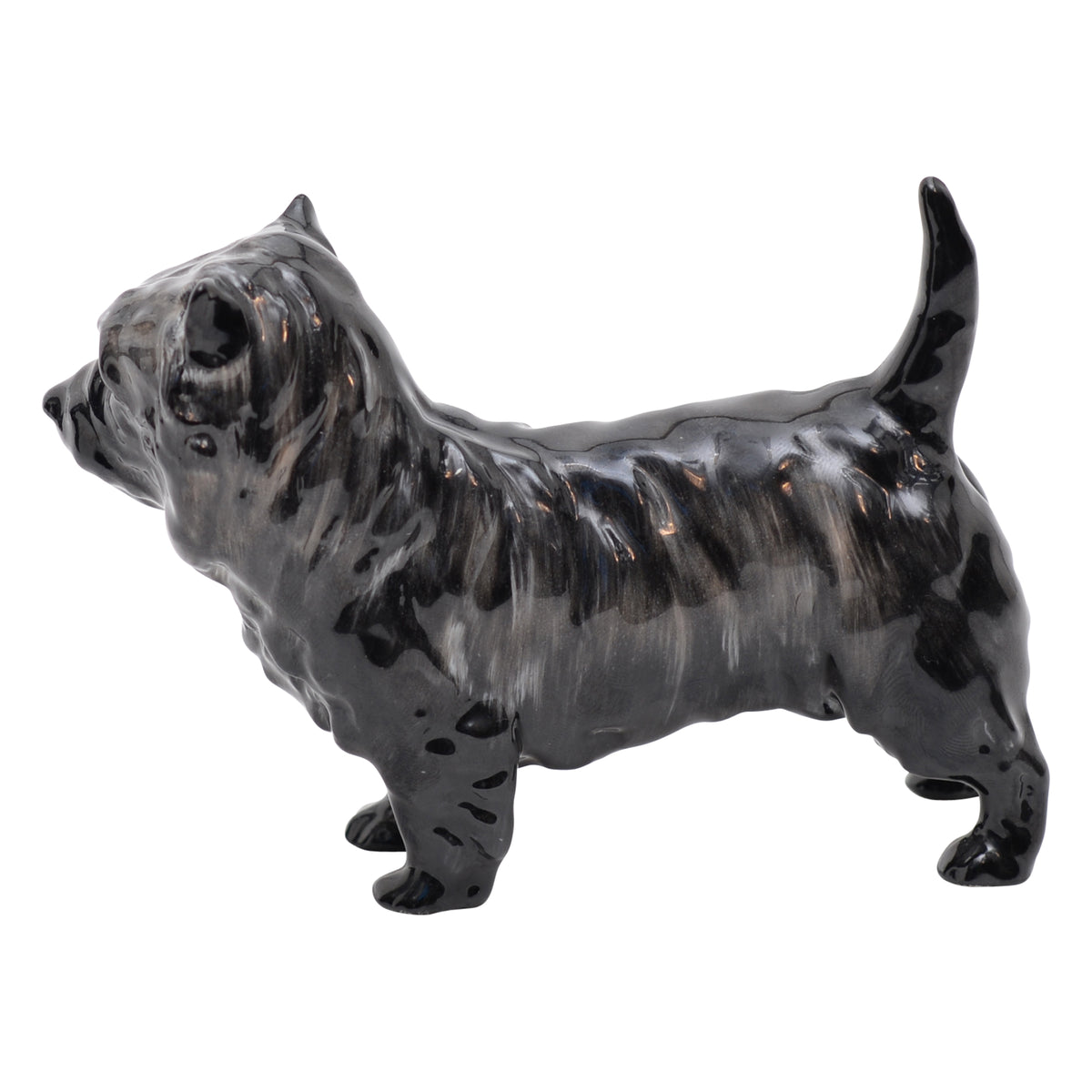 Cairn, Charming Eyes Small HN1035