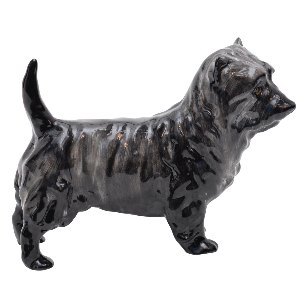Cairn, Charming Eyes Small HN1035