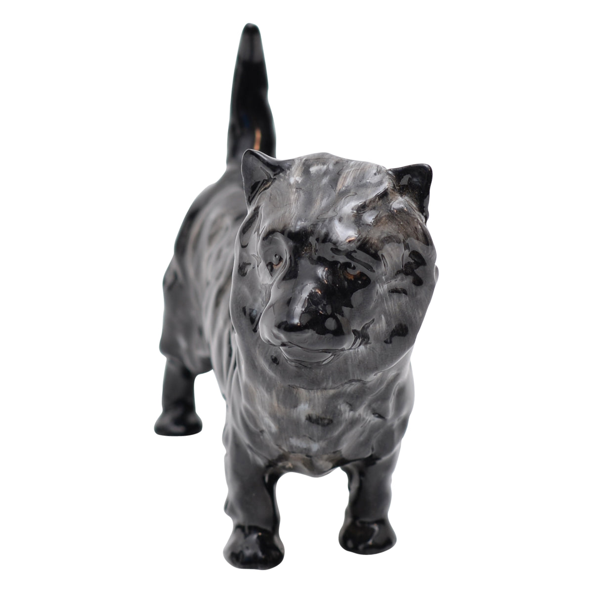 Cairn, Charming Eyes Small HN1035