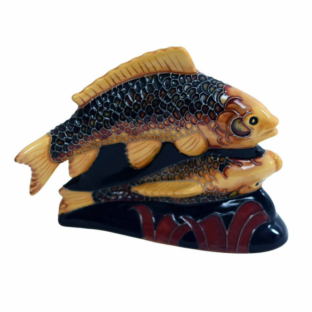 Carp Dou Model