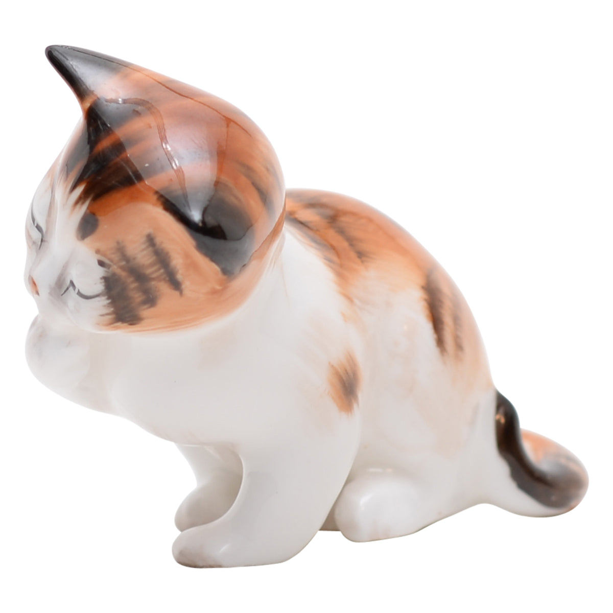 Cat Licking Front Paw  HN2583
