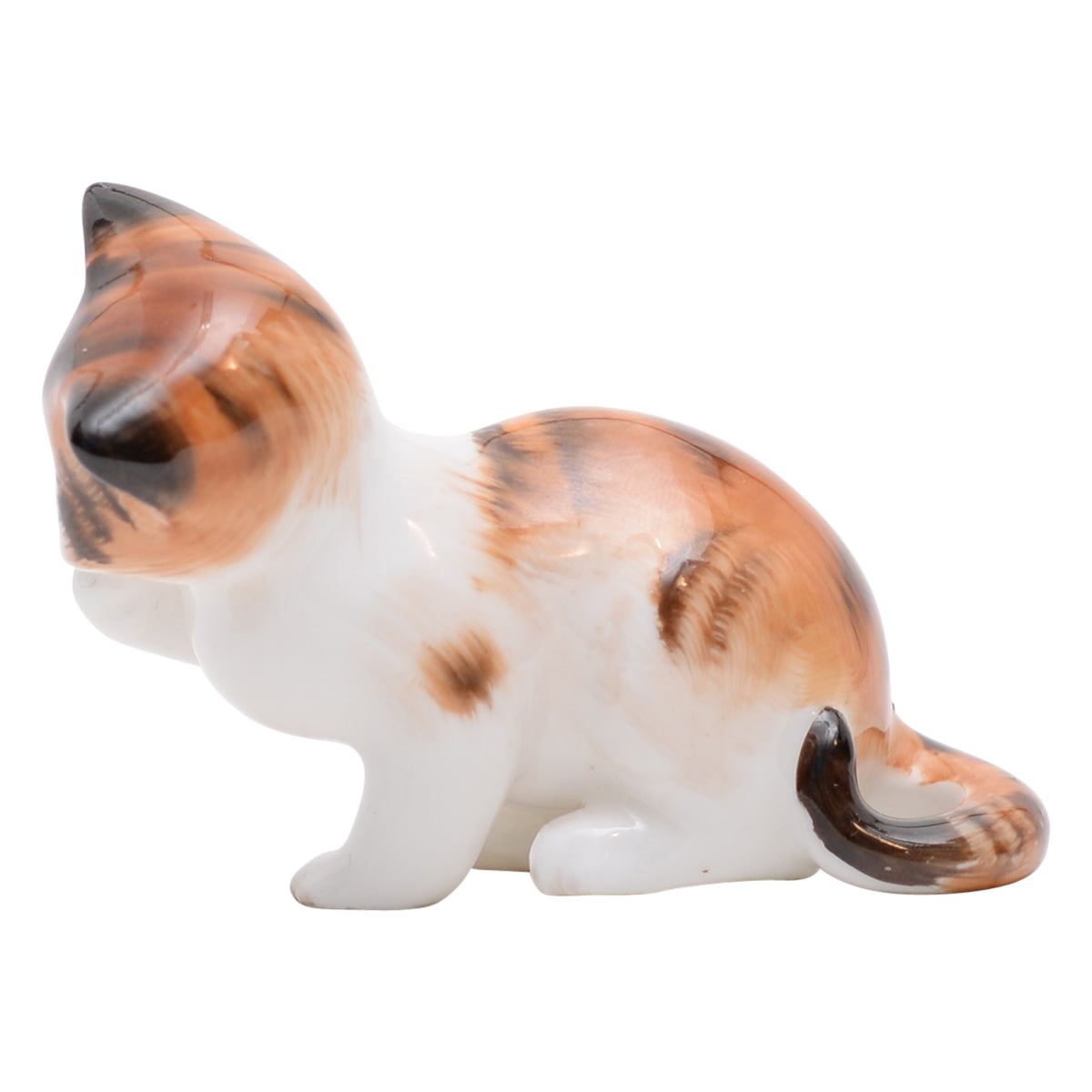 Cat Licking Front Paw  HN2583