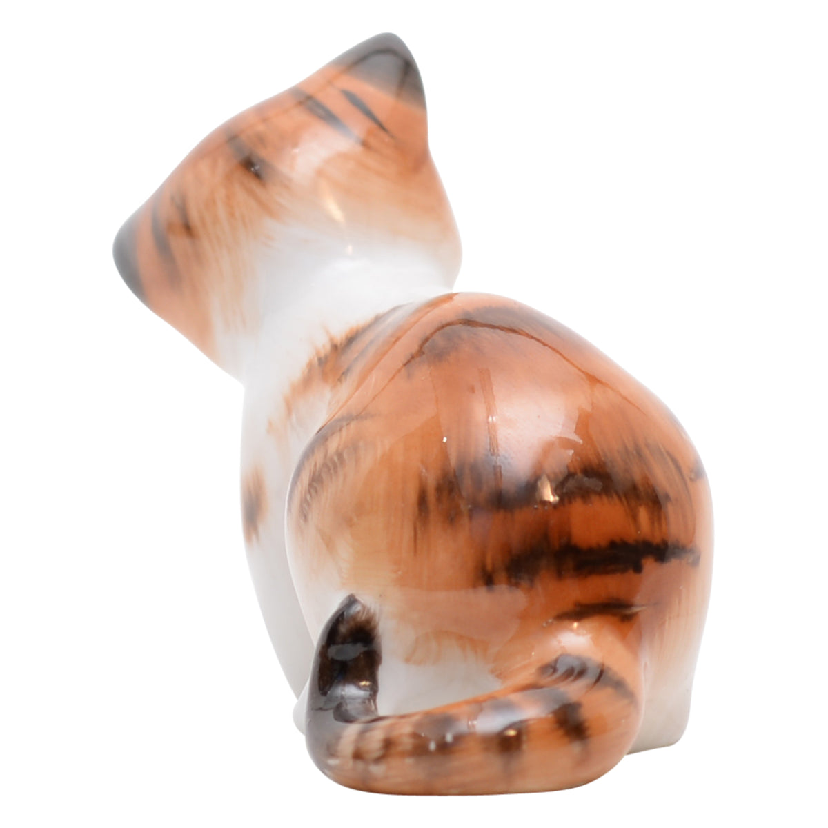 Cat Licking Front Paw  HN2583