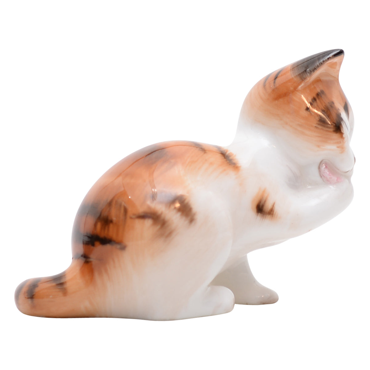 Cat Licking Front Paw  HN2583