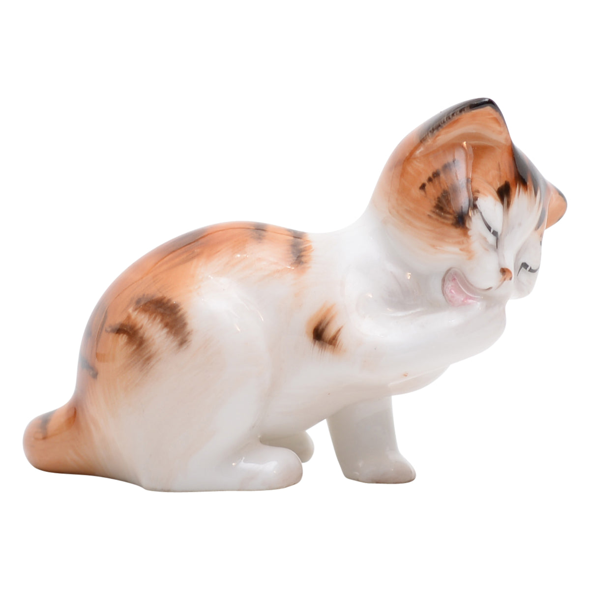 Cat Licking Front Paw  HN2583