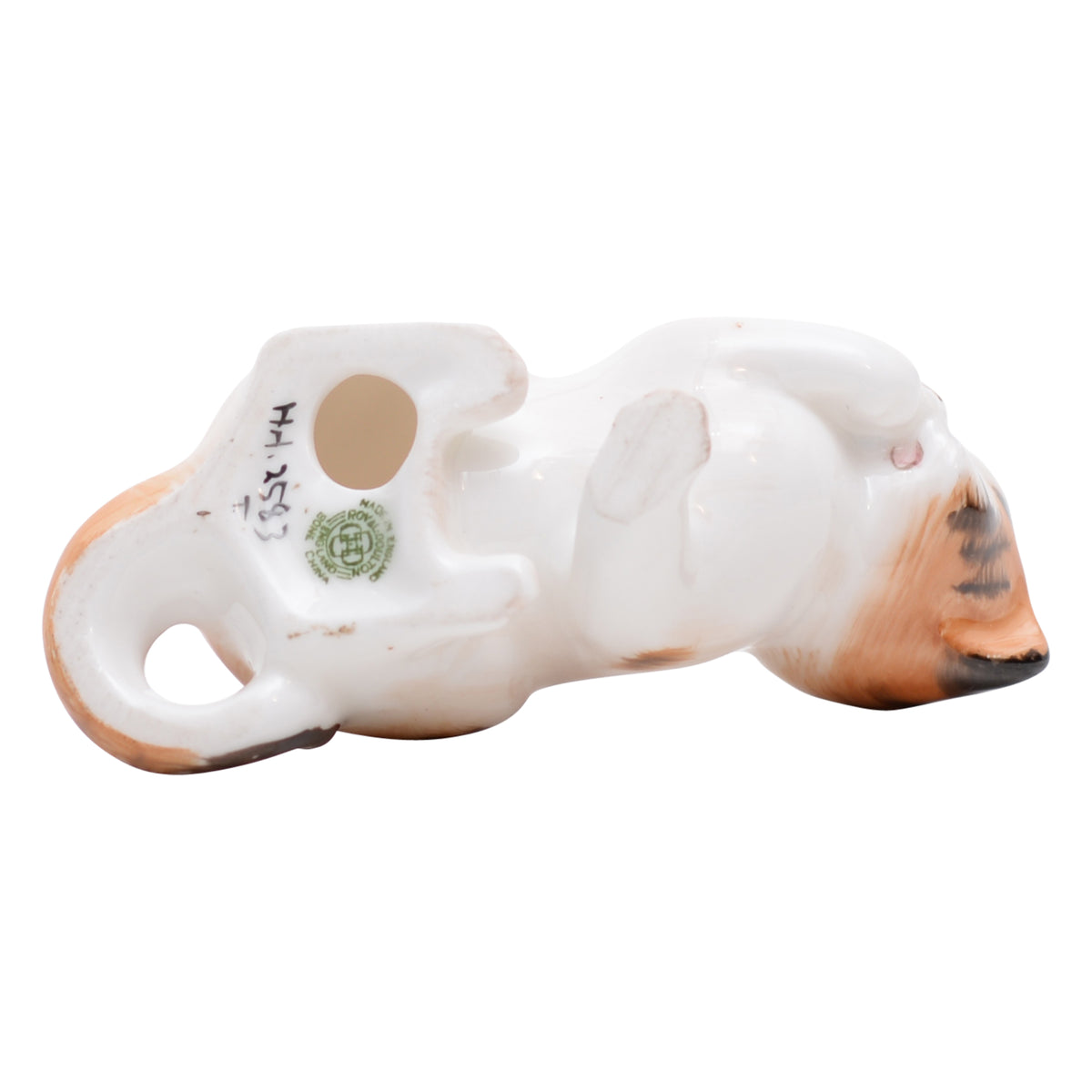 Cat Licking Front Paw  HN2583