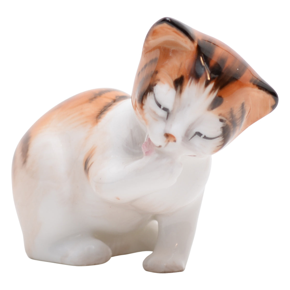 Cat Licking Front Paw  HN2583