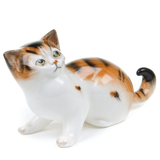 Character Kitten Looking Up HN2584