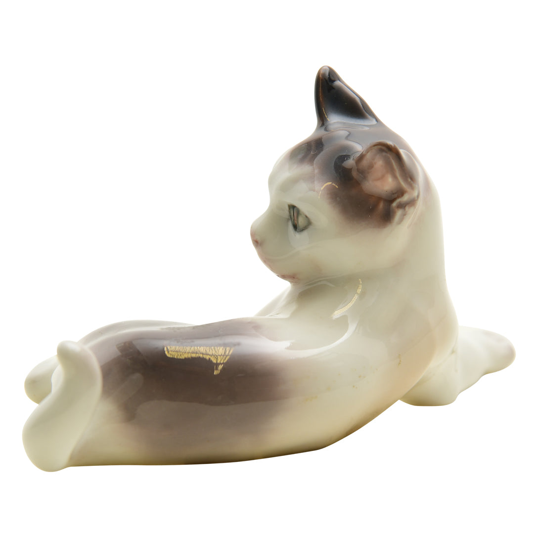Copenhagen Spotted Kitten #1005