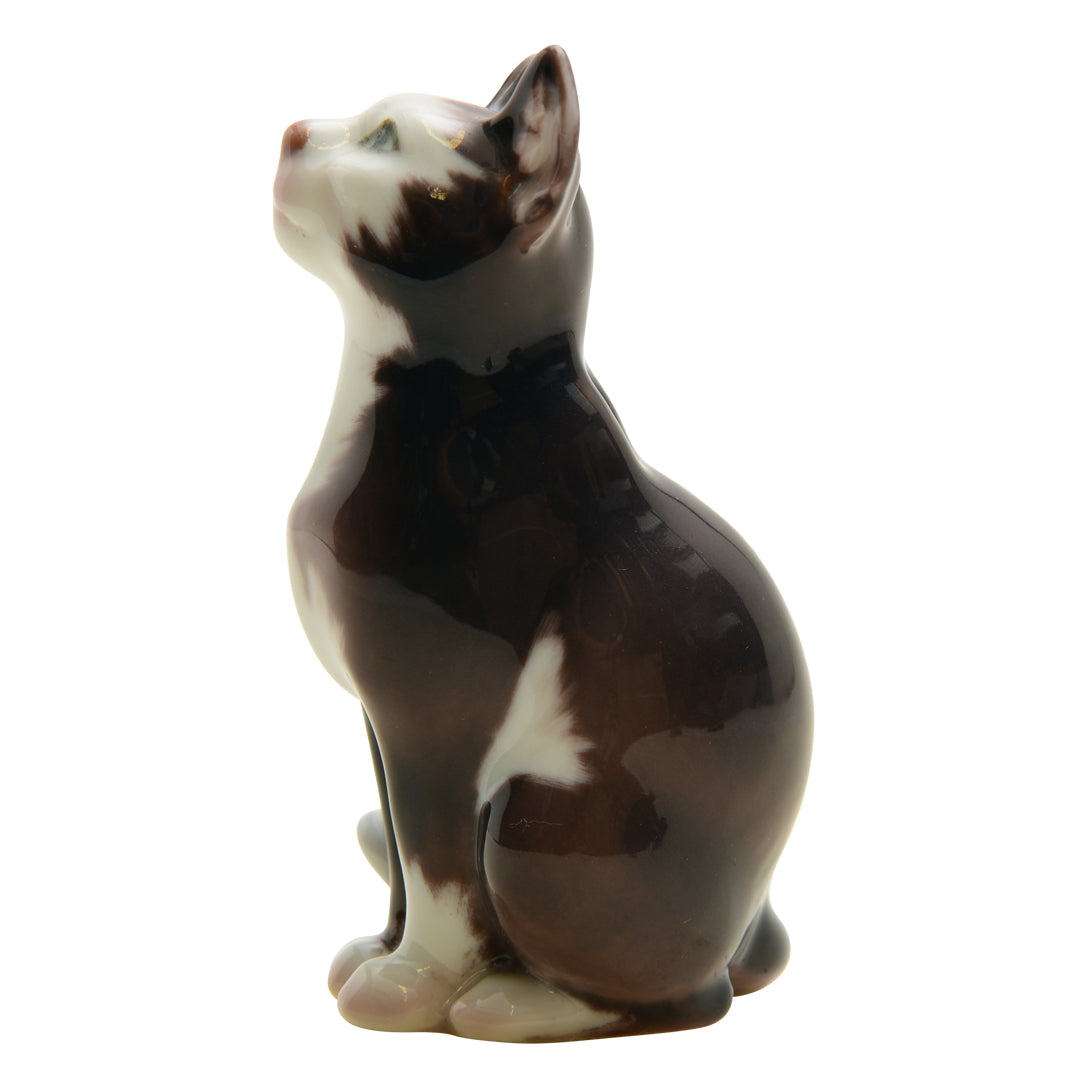 Dahl Jensen Cat  #1329