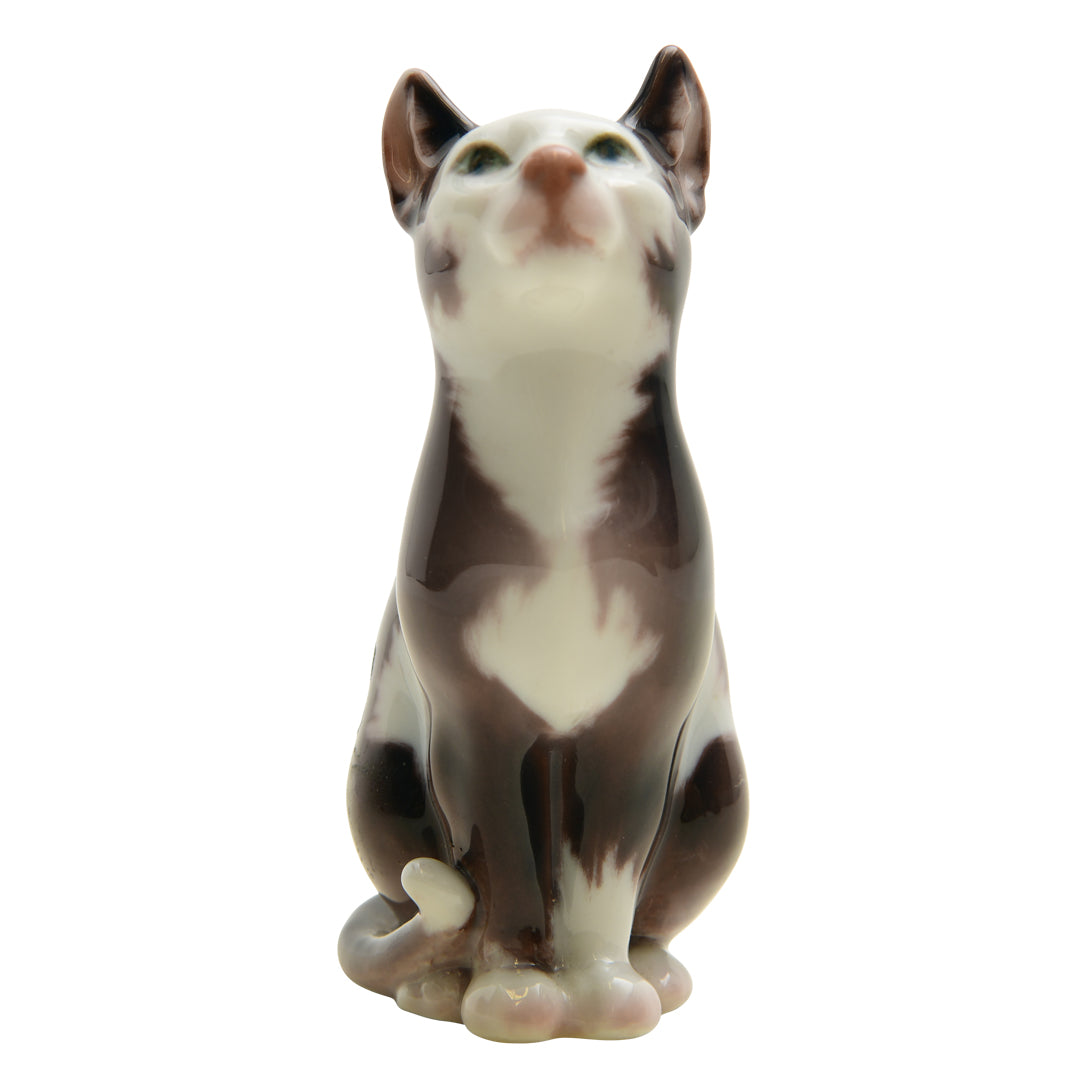Dahl Jensen Cat  #1329