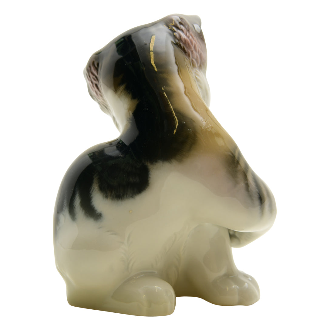 Eschenbach Bavaria Tabby Kitten 1930-1945
