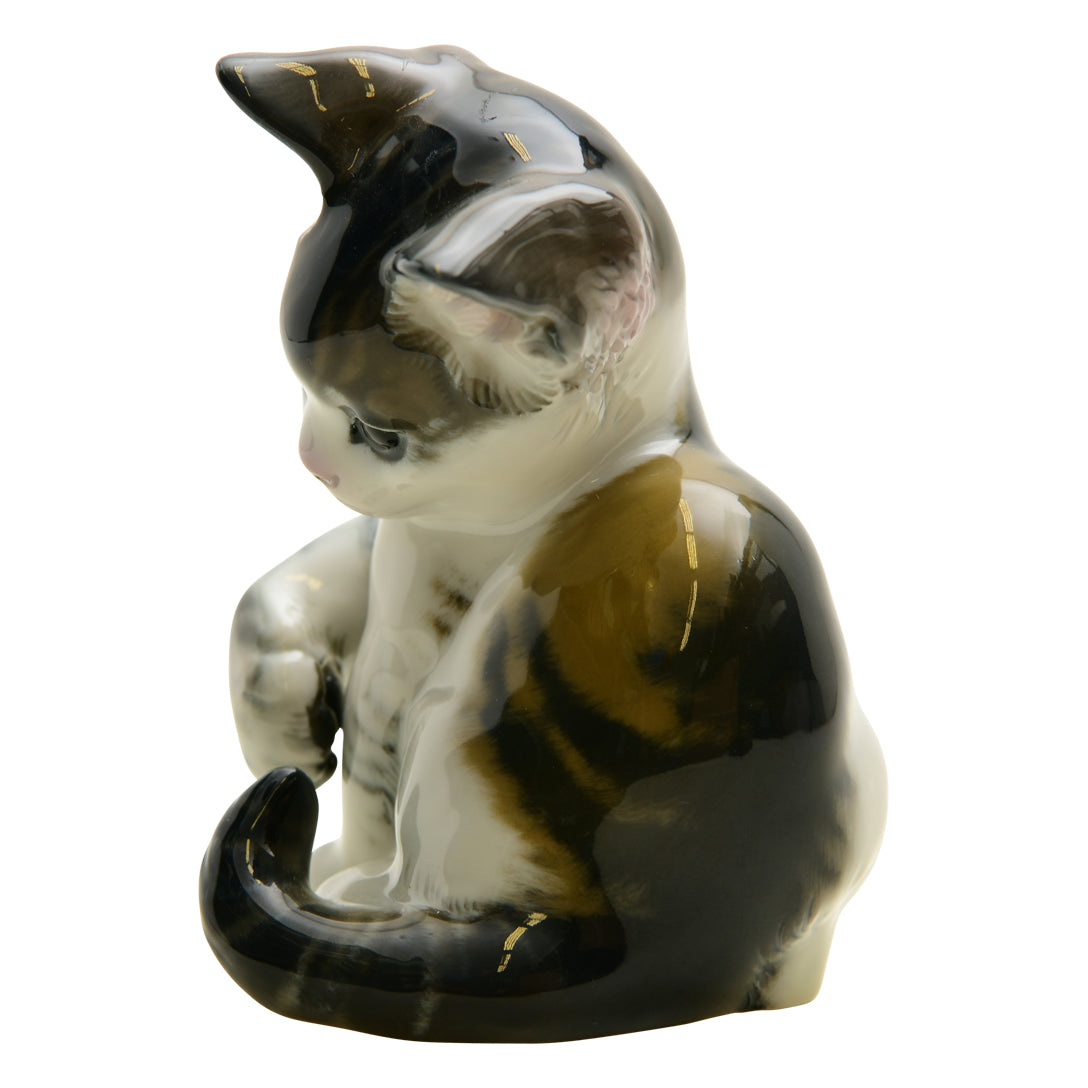 Eschenbach Bavaria Tabby Kitten 1930-1945