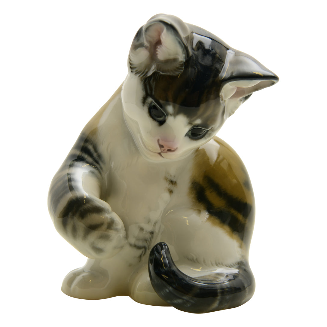 Eschenbach Bavaria Tabby Kitten 1930-1945