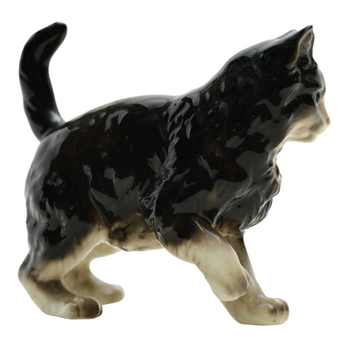 Vintage Fluffy Cat
