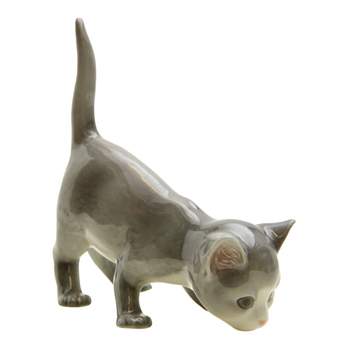 Cat #517