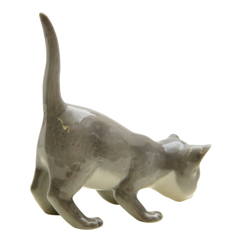 Cat #517