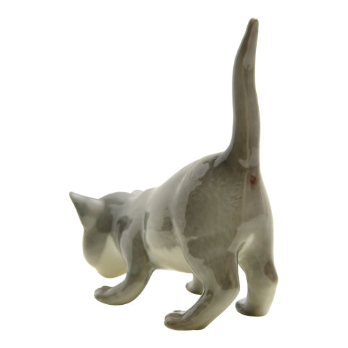 Cat #517