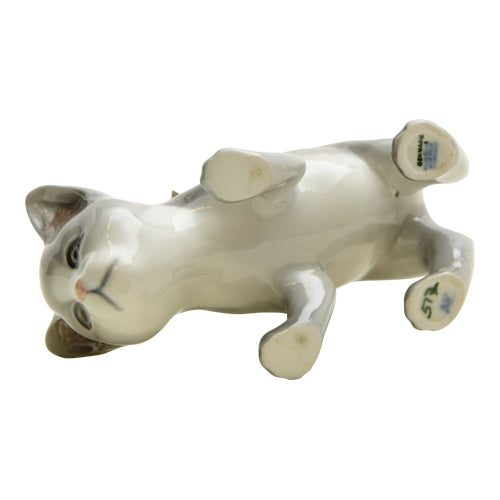 Cat #517