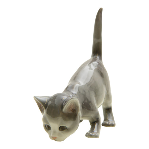 Cat #517