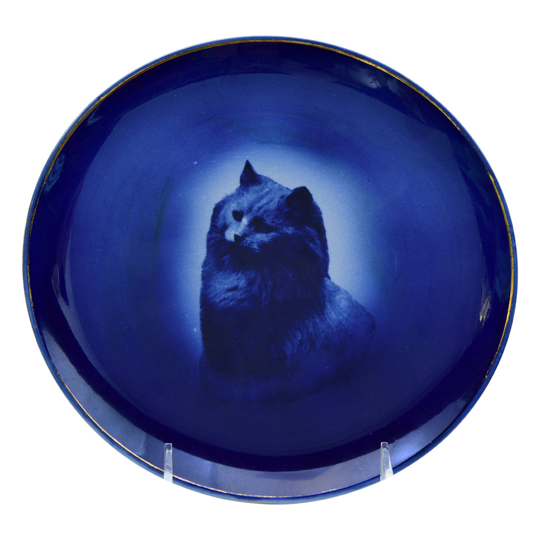 Porcelain-deep blue with gold rim 8.75" round plate-by ridgeway