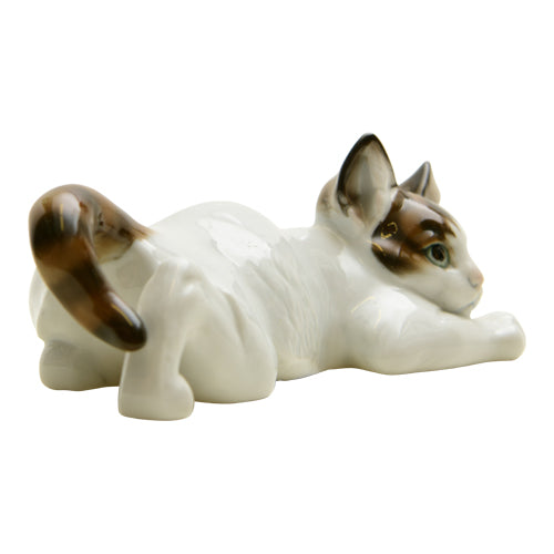 Group Cat Lying on Belly 1974 82
