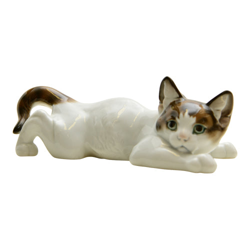 Group Cat Lying on Belly 1974 82