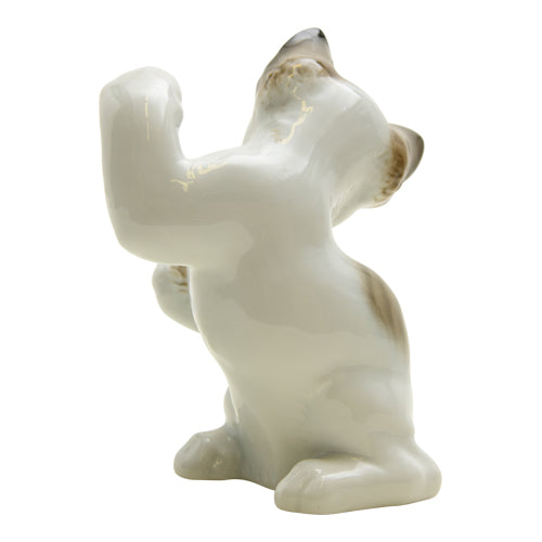 Classic Rose Collection Porcelain Kitten playing
