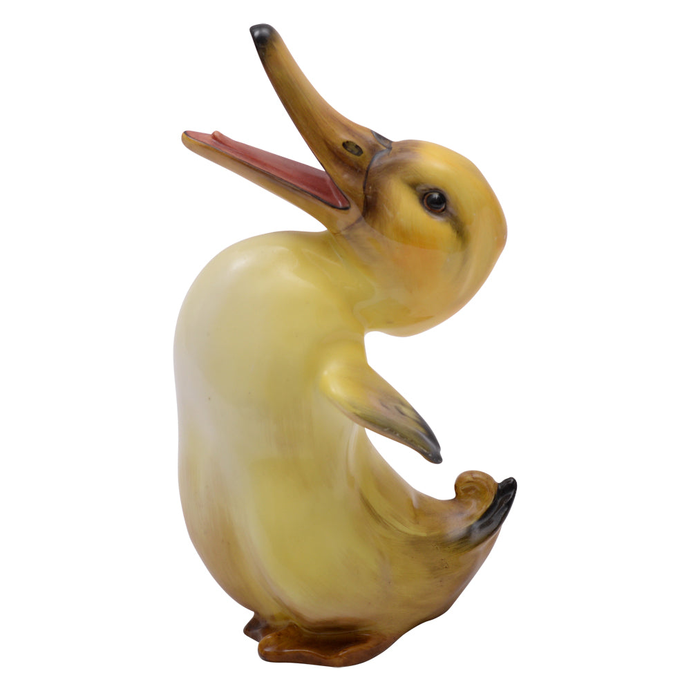 Character Duck
