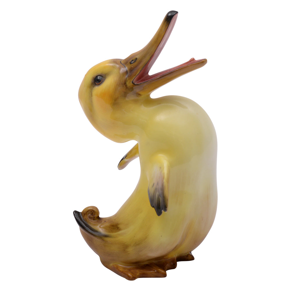 Character Duck