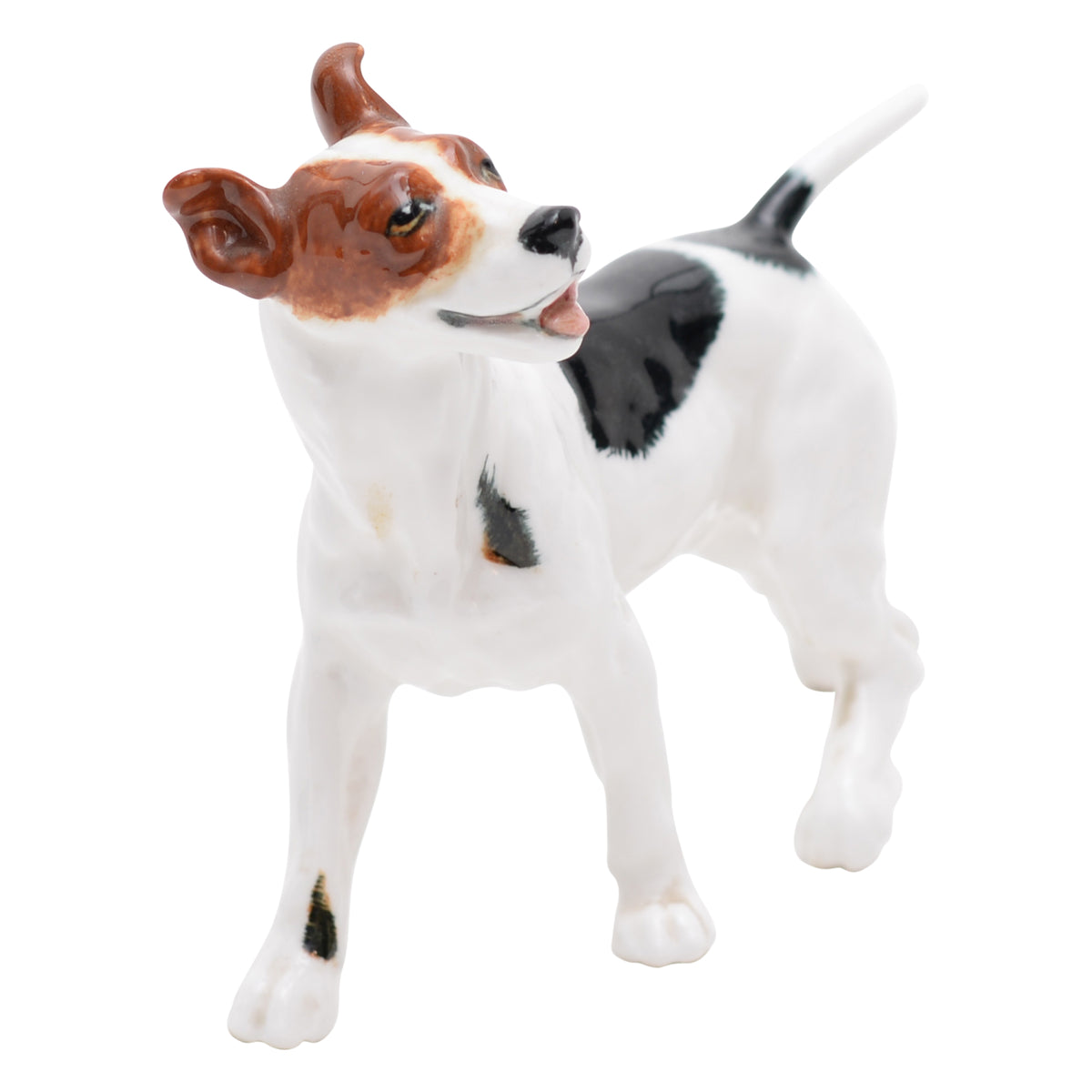 Bull Terrier Standing
