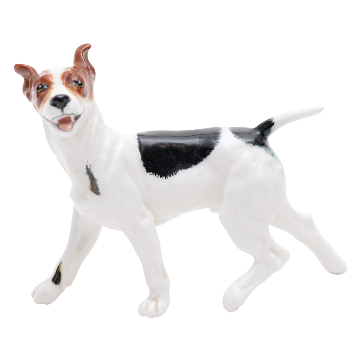 Bull Terrier Standing