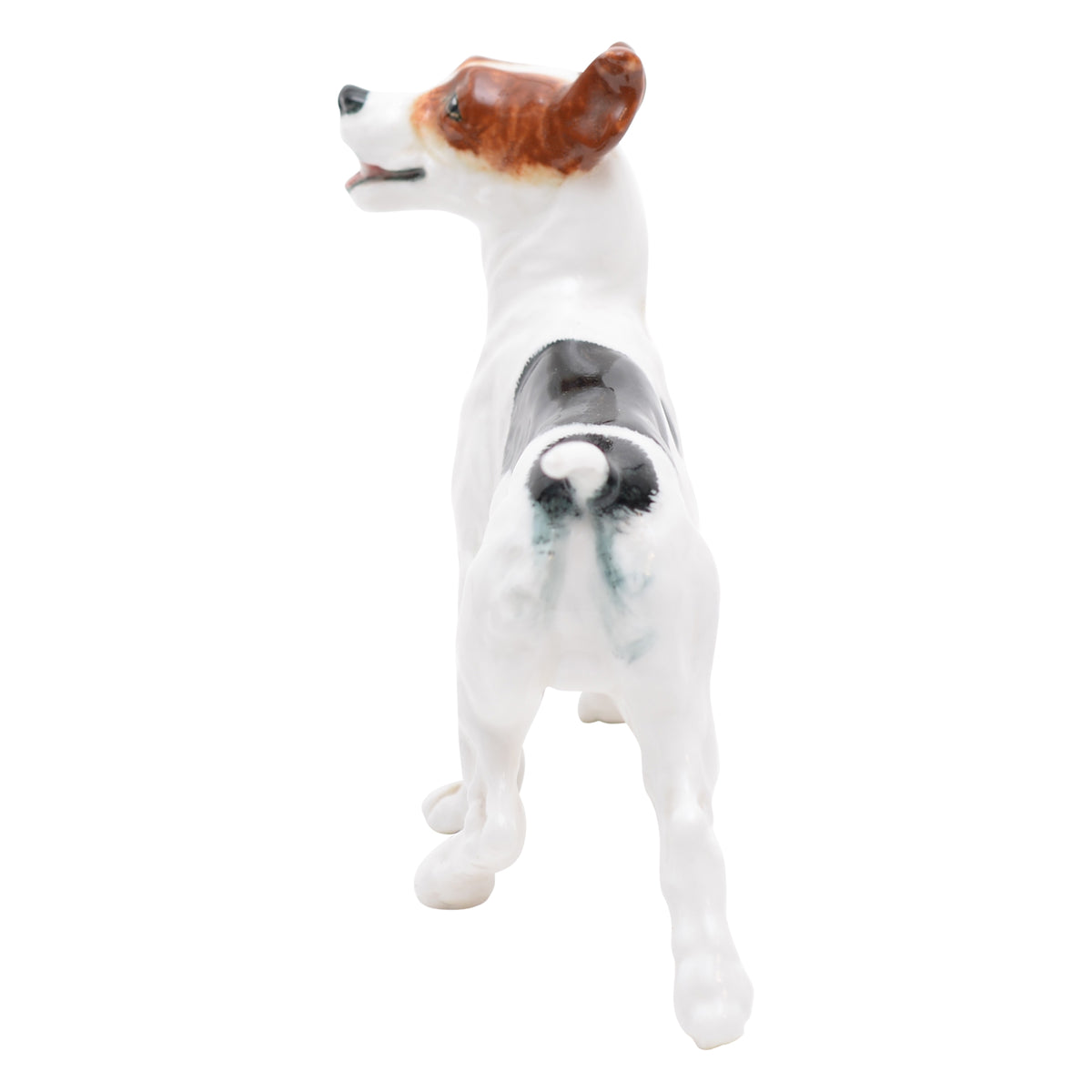 Bull Terrier Standing